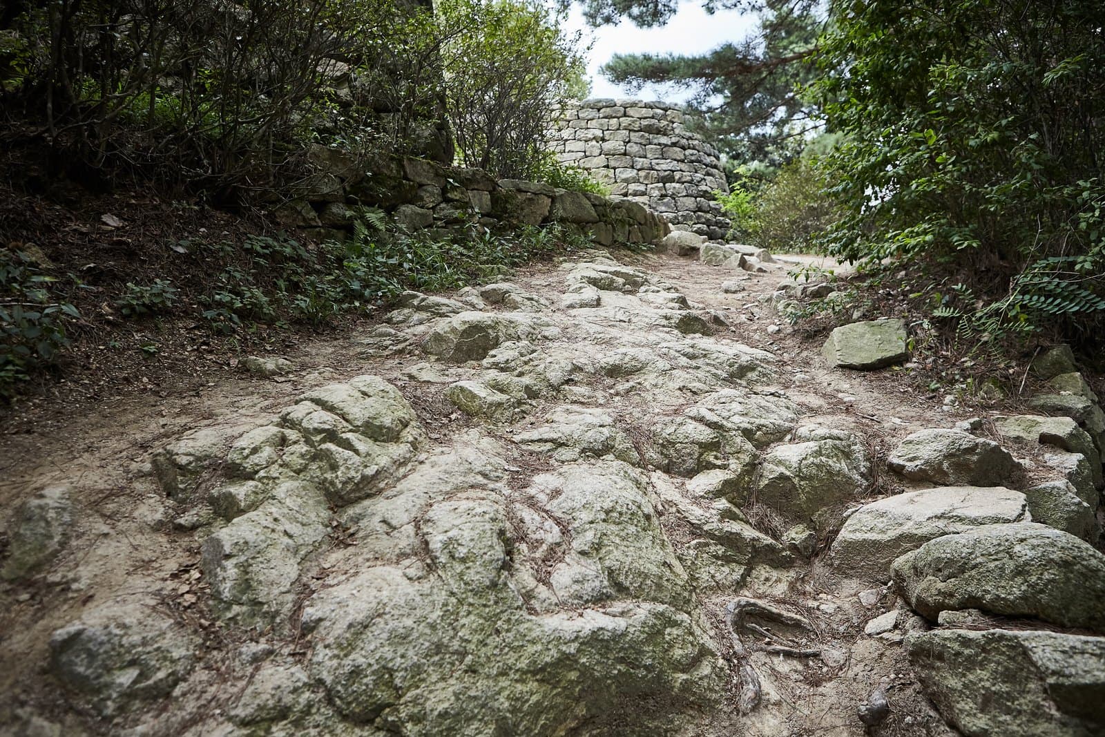보문산성 — 보문산성 — 보문산성