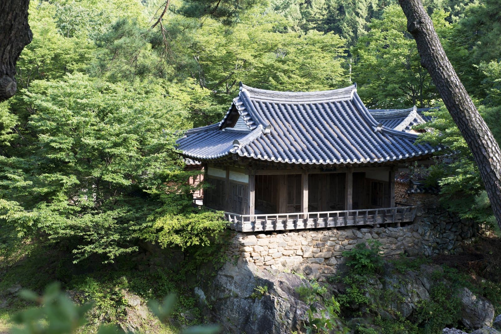 초간정 및 원림 — 예천 초간정 원림 — 예천 초간정 원림_원림 속 초간정 (촬영년도 : 2015년)
